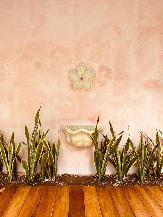 Casa Nicte, Hospedate En Una Casa Del Siglo XVIII Campeche Kültér fotó